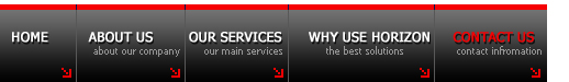Horizon Property Services