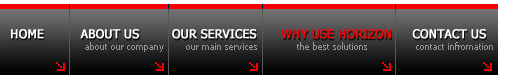 Horizon Property Services